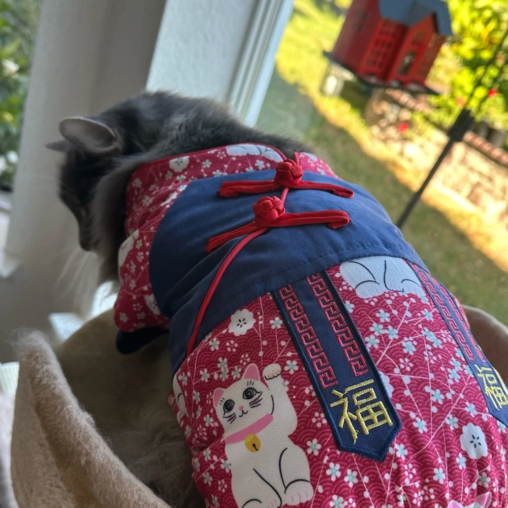 Stylish Red and Blue Cat Kimono